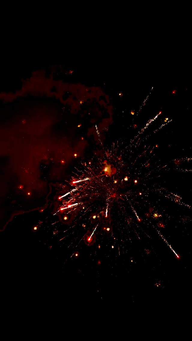 新年烟花（可惜不能播放动图）