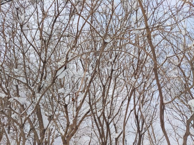 旅行者号-木卫二（Europa）表面