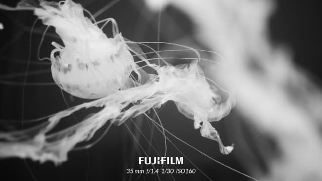 皆若空游无所依