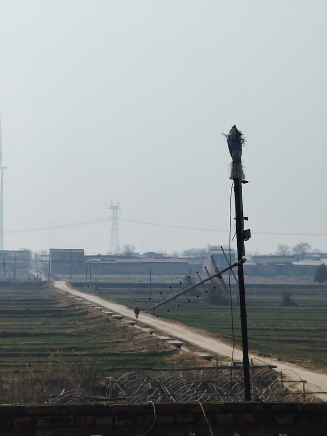 乡间小道的行人