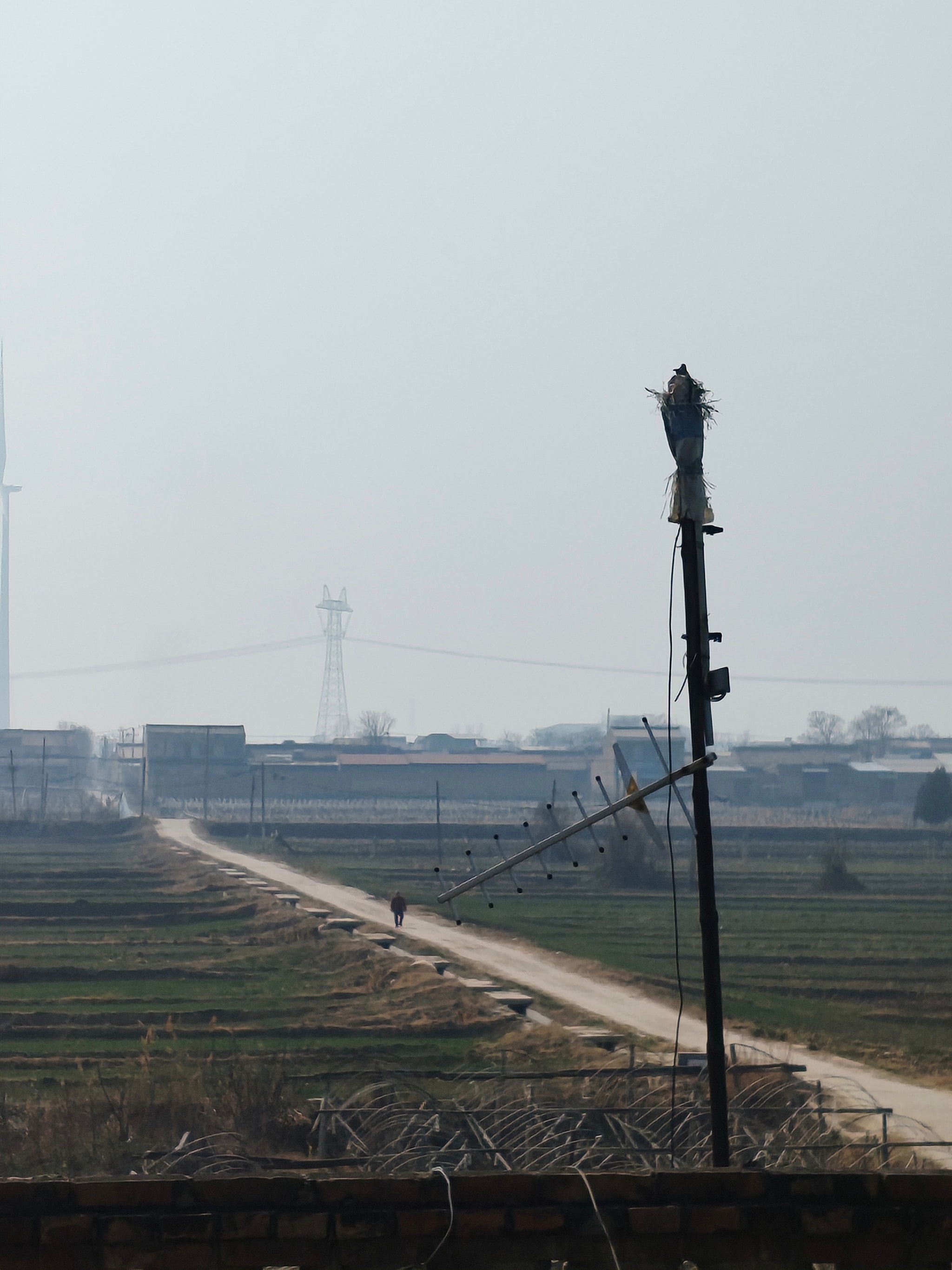 乡间小道的行人